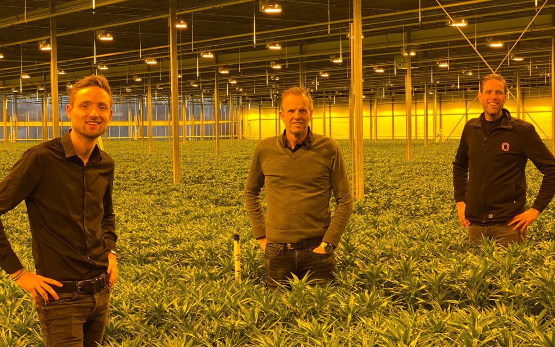 First Harvest Kwintsheul